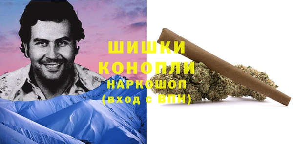 прущие грибы Вязьма