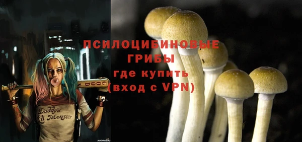 мяу мяу мука Белоозёрский