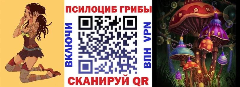 где продают наркотики  Полесск  Псилоцибиновые грибы мухоморы 